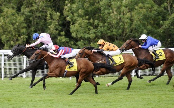 Horse Racing