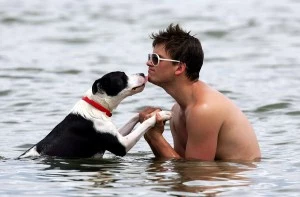 man swimming with dog