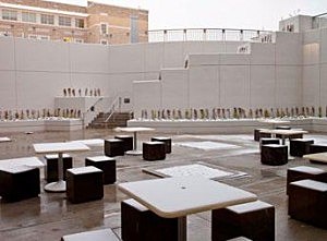 rawls college of buisness