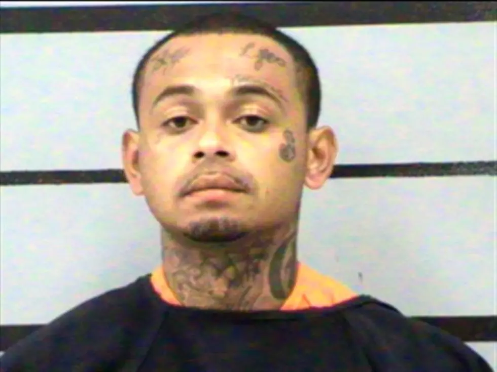 Las Vegas Man Pleads Guilty to Disrupting Flight