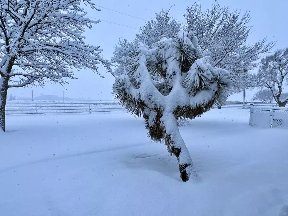 Is A Potential Winter Storm Heading For Texas? Here’s What We Know