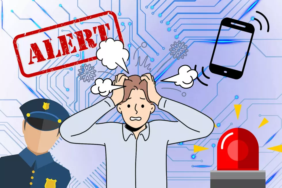What’s the Meaning Behind These Statewide Alert Programs?