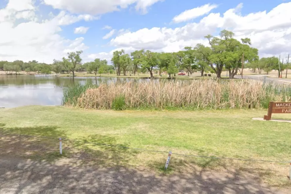 Flower Picking, Donkey Rides, and Other Surprising Things Banned At Lubbock City Parks