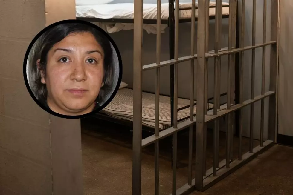 Texas Woman Arrested for Burning Dogs and Endangering Kids