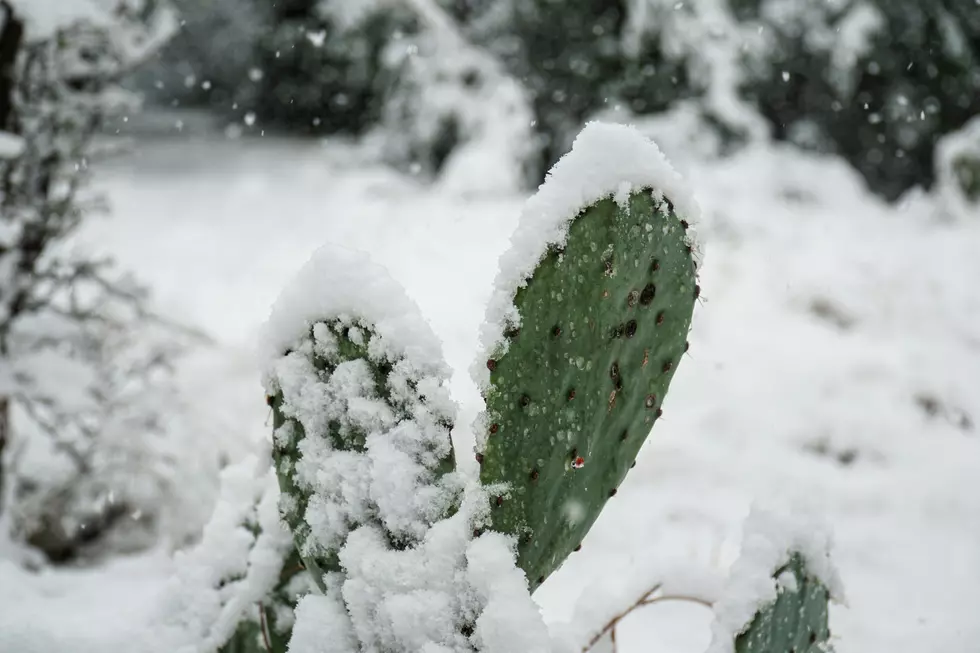 A White Christmas in Texas? Here’s Where It Could Snow in Texas On Christmas Day