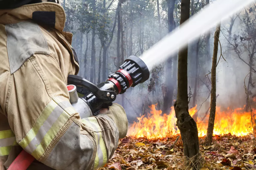 FEMA Approves Emergency Grants For Texas Panhandle Wildfires